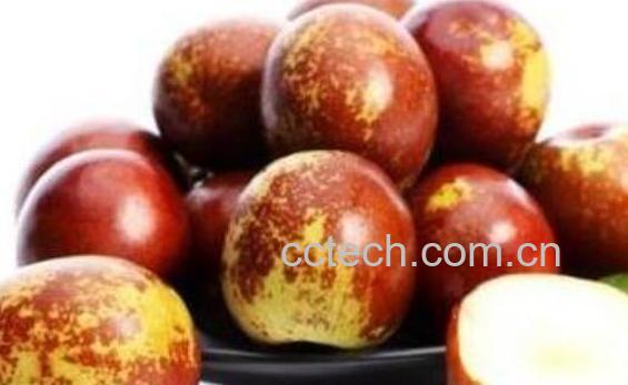 鲜枣的功效和食用禁忌-1