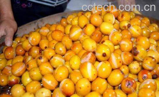 南酸枣果核的功效与作用-0