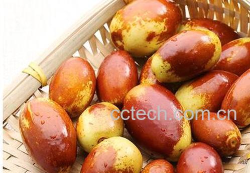 马牙枣的功效与作用 马牙枣的食用禁忌-1