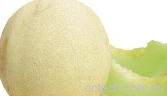 白兰瓜和哈密瓜的区别-0