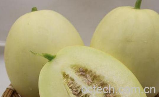 吃白兰瓜的好处和坏处-1