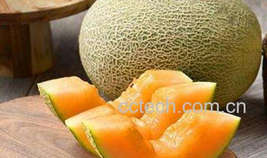 白兰瓜和哈密瓜的区别-1