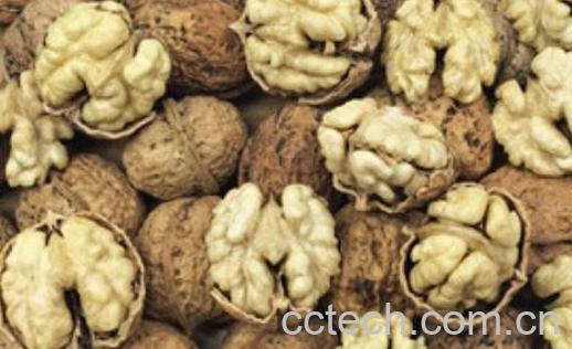 云南纸皮核桃的功效与作用-0