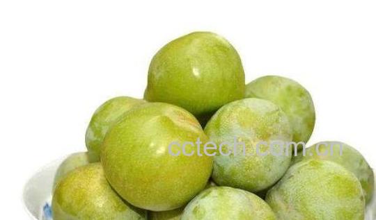 脆李的功效与作用及禁忌-0