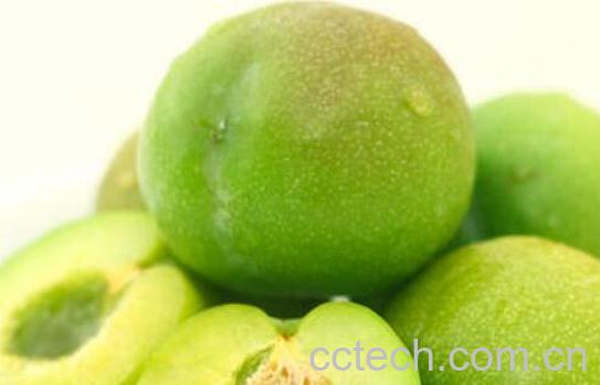 脆李的功效与作用及禁忌-1