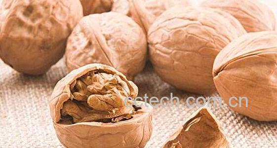 核桃硬壳的功效与作用 核桃壳的药用价值-0