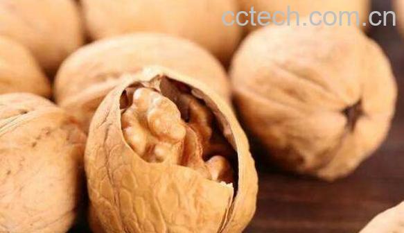 核桃硬壳的功效与作用 核桃壳的药用价值-1