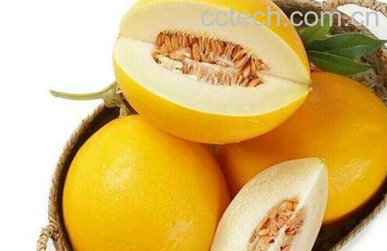 黄河蜜瓜的营养价值和功效-0