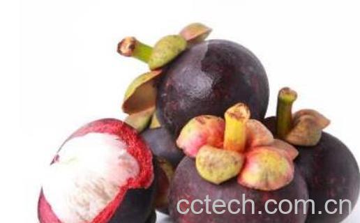 山竹皮泡盐的功效与作用-0