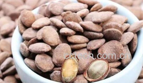 女人吃吊吊瓜子有什么好处 多吃吊吊瓜子有什么坏处-1