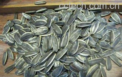 嗑瓜子的好处和坏处-0