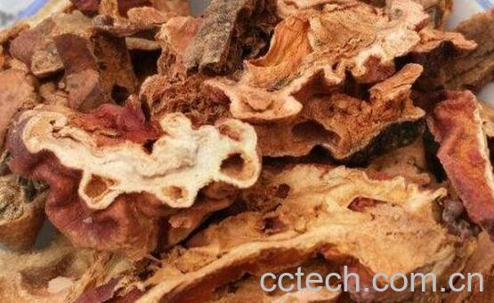 木瓜草药的功效作用-1