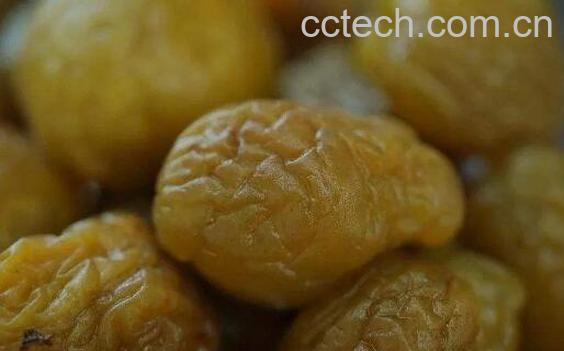 甜青梅的功效与作用-0