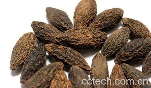 干青果怎样泡水喝 干青果泡水喝的功效-0