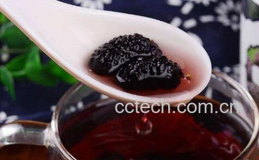 桑椹子泡水功效与作用-0
