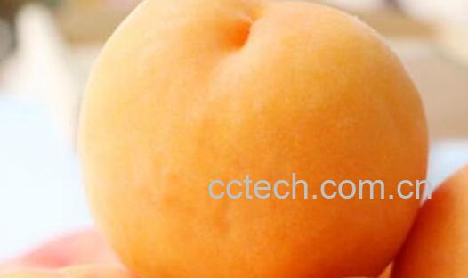 黄金蜜桃和锦绣黄桃的区别 吃桃子的好处-0