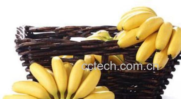 都乐皇帝蕉和香蕉的区别 都乐皇帝蕉的吃法-0