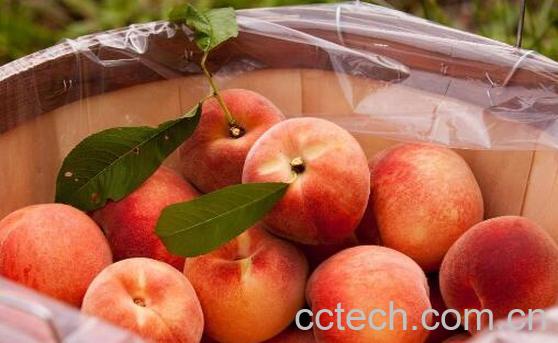 吃熟桃子的功效与作用-0