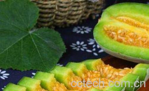  吃羊角蜜的好处与坏处-0