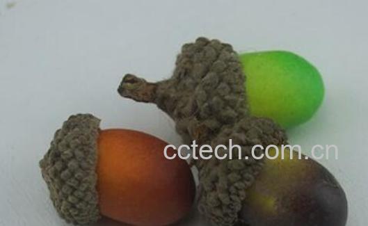 橡实和榛子的区别 吃橡实的好处-0