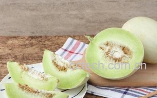玉菇甜瓜的功效与作用-0