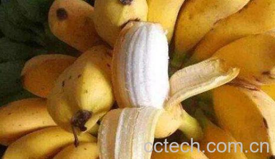 米蕉的功效与禁忌-0