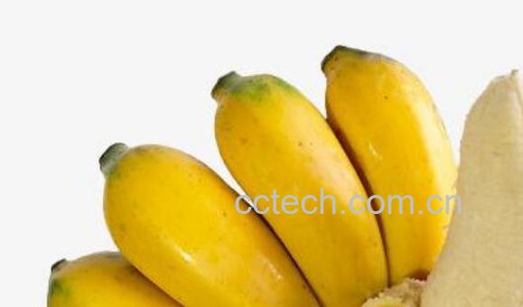 米蕉的功效与禁忌-1