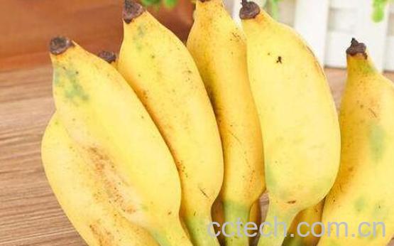 粉蕉的功效与作用禁忌-1