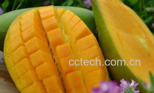 金煌芒与小台芒有什么区别 吃金煌芒的好处-0