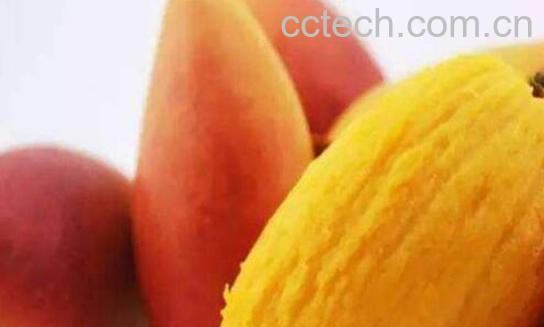 金煌芒与小台芒有什么区别 吃金煌芒的好处-1