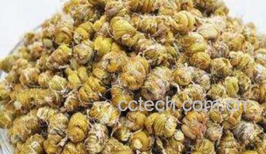 干石斛食用方法与功效-0