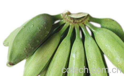 牛角蕉和芭蕉的区别 牛角蕉的功效-1