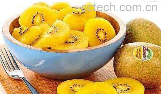 奇异果金果的功效与作用-1