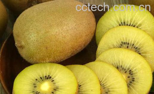 奇异果金果的功效与作用-0