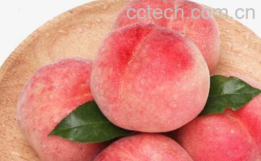 桃子有什么好处和坏处-0