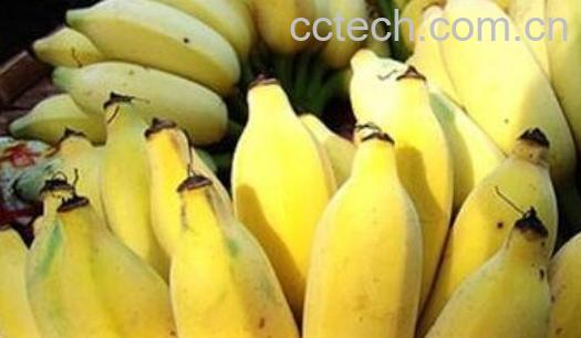 皇帝香蕉的功效与作用-0
