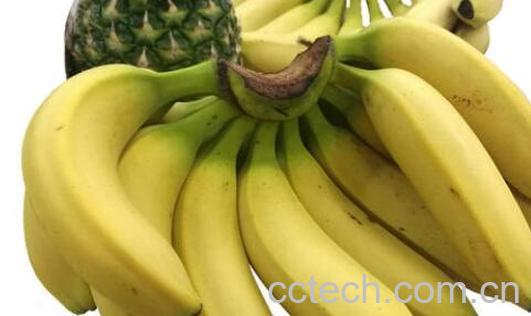苹果蕉和普通香蕉的区别 吃苹果蕉的好处-1