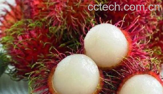 红毛丹的核膜怎么去掉 红毛丹怎么吃不沾核皮-1