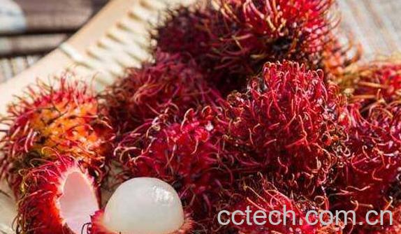 吃红毛丹的好处和坏处-1