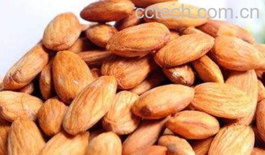 扁桃仁的功效和作用-1