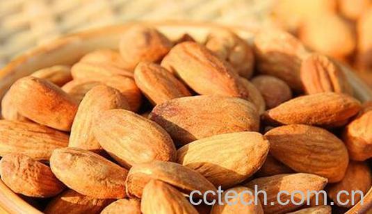 扁桃仁的功效和作用-0