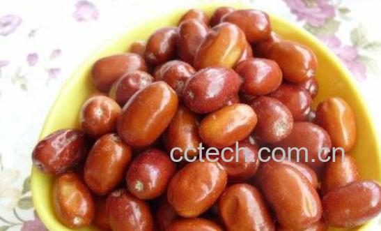 沙枣的功效与作用及禁忌-0