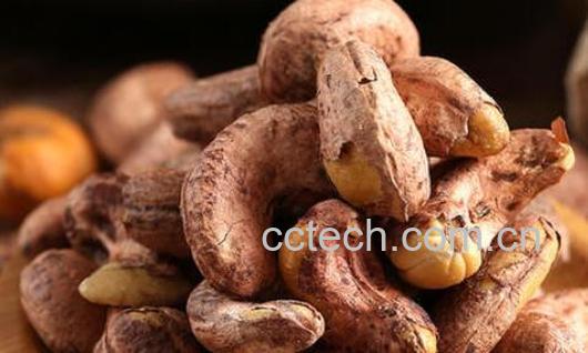 熟腰果仁的功效与作用-0