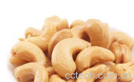 生腰果仁的功效与作用-1