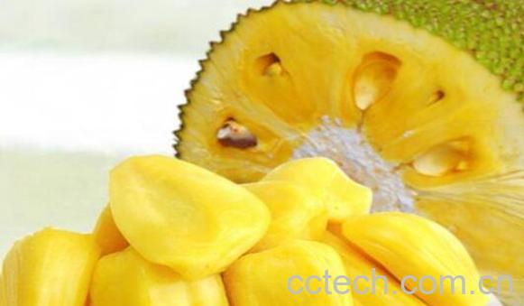 菠萝蜜的胶怎么洗 菠萝蜜果肉上的胶怎么洗掉-1