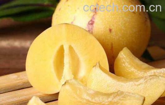 女生吃人参果的坏处与好处-0