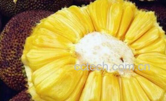 吃完菠萝蜜千万别碰5种食物-0