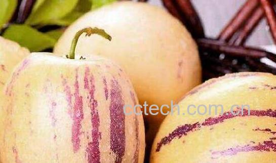 女生吃人参果的坏处与好处-1