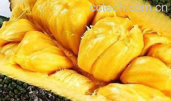 怎么剥菠萝蜜最快最方便-1