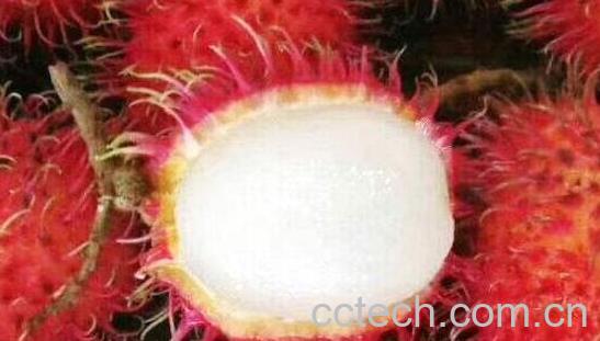 红毛丹怎么吃好 红毛丹的食用方法-0